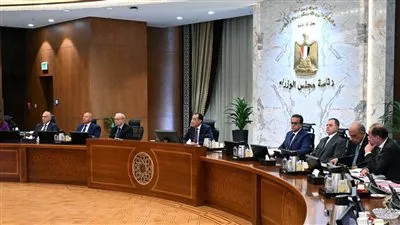 تخصيص 55.5 فدان في العين السخنة لتنفيذ مشروعات تنموية