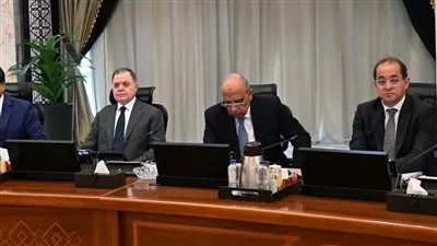 مصر تستهدف رفع قدرات الطاقة المتجددة إلى 30705 ميجاوات بنهاية 2029