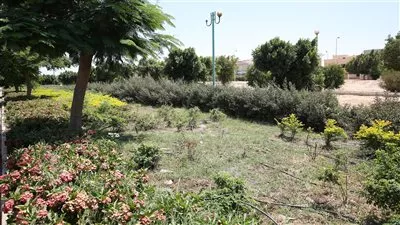 وزيرة «الإسكان» تتابع أعمال تطوير الطرق ومداخل مدينة بدر