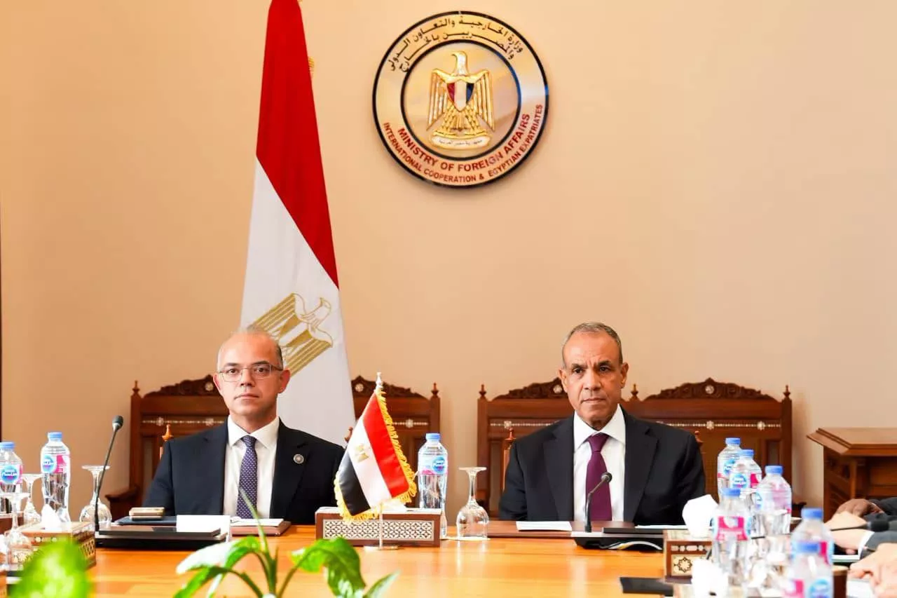 وزيرا الخارجية والاستثمار يبحثان دعم استثمارات الشركات المصرية بإفريقيا