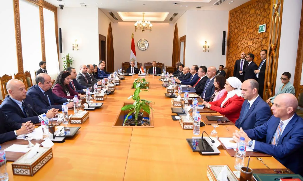 وزيرا الخارجية والاستثمار يبحثان دعم استثمارات الشركات المصرية بإفريقيا
