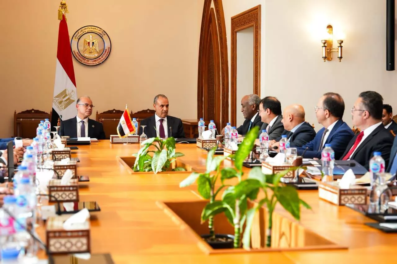 وزيرا الخارجية والاستثمار يبحثان دعم استثمارات الشركات المصرية بإفريقيا