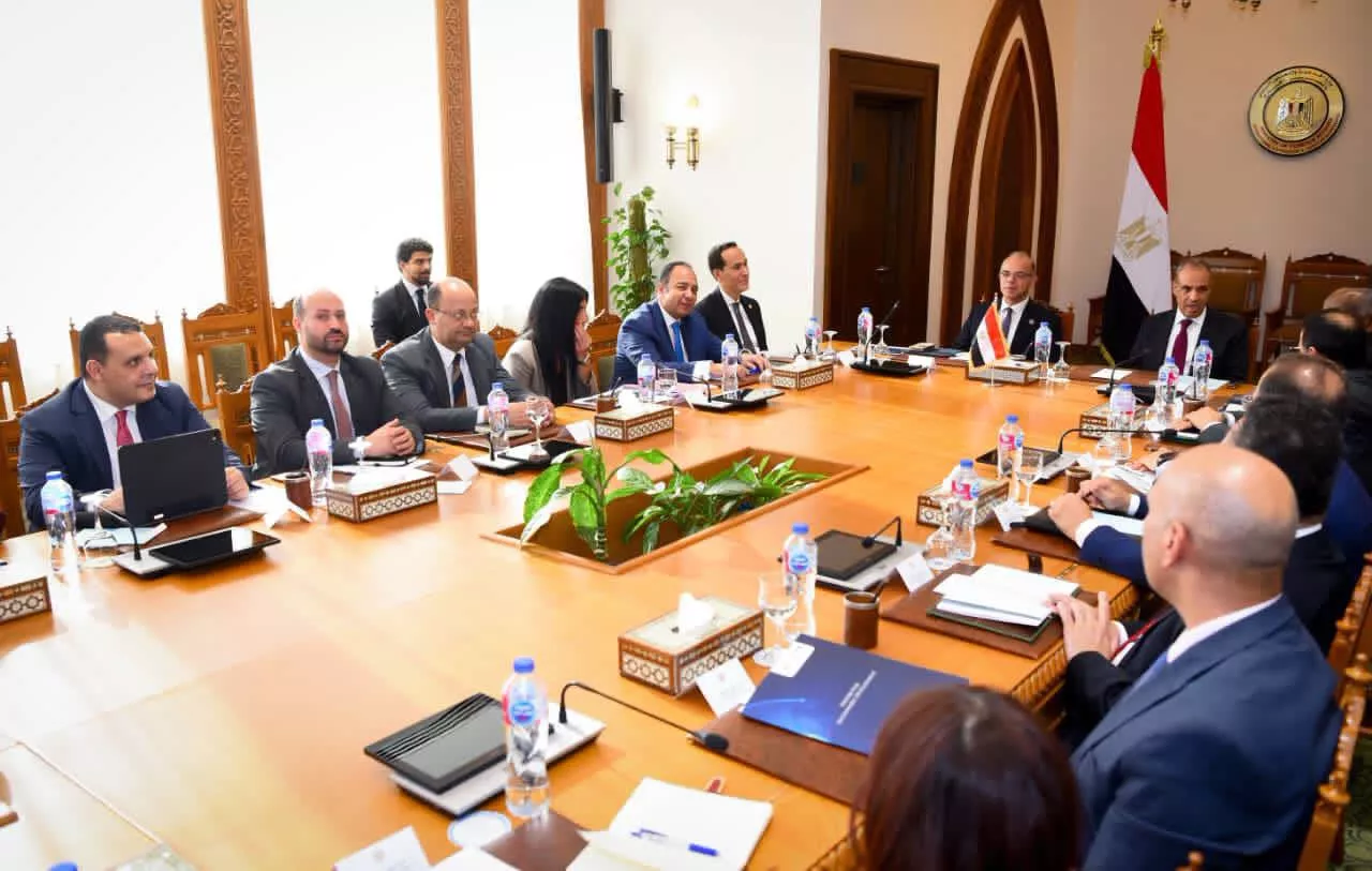 وزيرا الخارجية والاستثمار يبحثان دعم استثمارات الشركات المصرية بإفريقيا