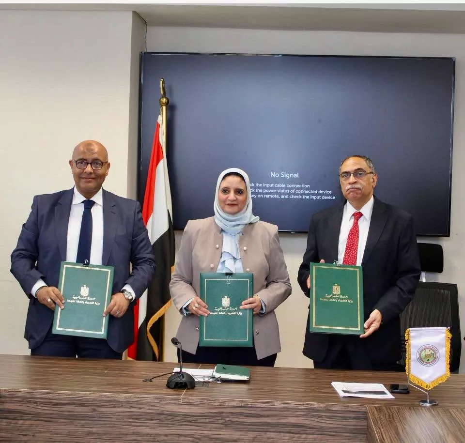 المصرية لنقل الكهرباء توقع عقد إنشاء خط جهد 220 كيلوفولت 