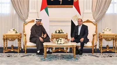 الرئيس السيسي يبحث مع نظيره الإماراتي تطورات القضايا الإقليمية والدولية
