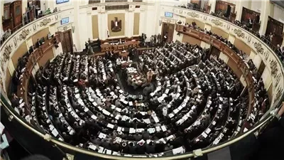 «النواب» يوافق مبدئيًا على مشروع قانون إعادة تنظيم جهاز مستقبل مصر