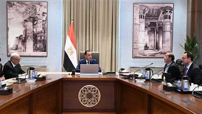 المصدر