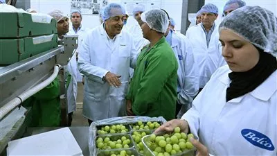 مدبولي يتفقد مزارع ومحطات فرز وتعبئة «بلكو» للإنتاج الزراعي بمدينة السادات