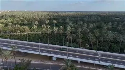 المصدر