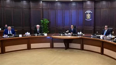 الحكومة تتعاقد مع «السويدي الكتريك» لإنشاء مصنع للضفائر الكهربائية