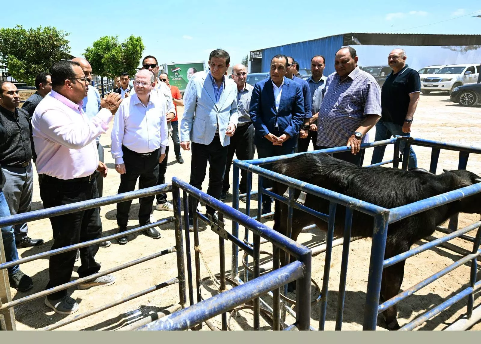 رئيس الوزراء يتفقد محطة الإنتاج الحيواني وتصنيع الألبان