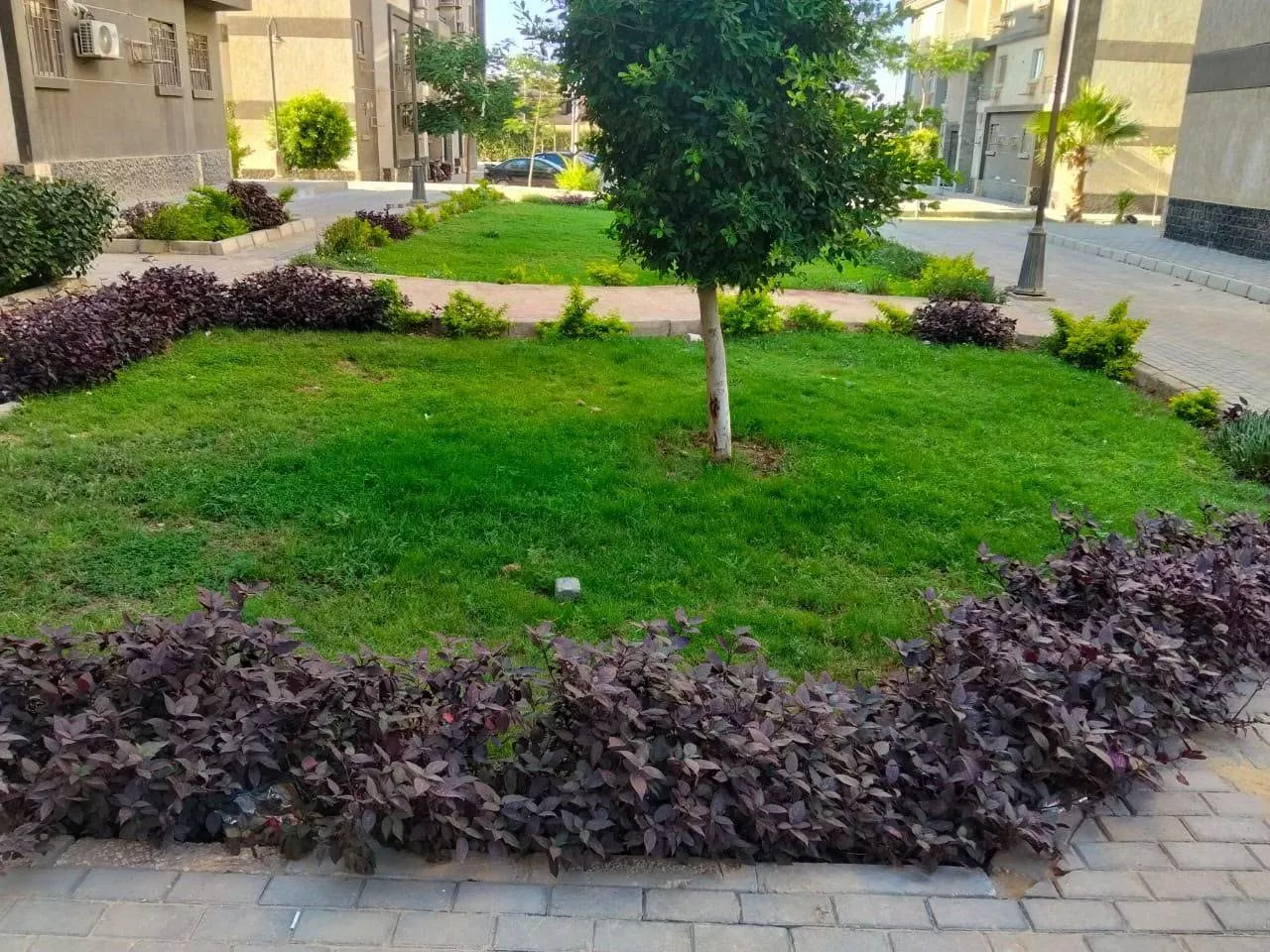 القطاعات الخدمية والتنموية بحدائق أكتوبر