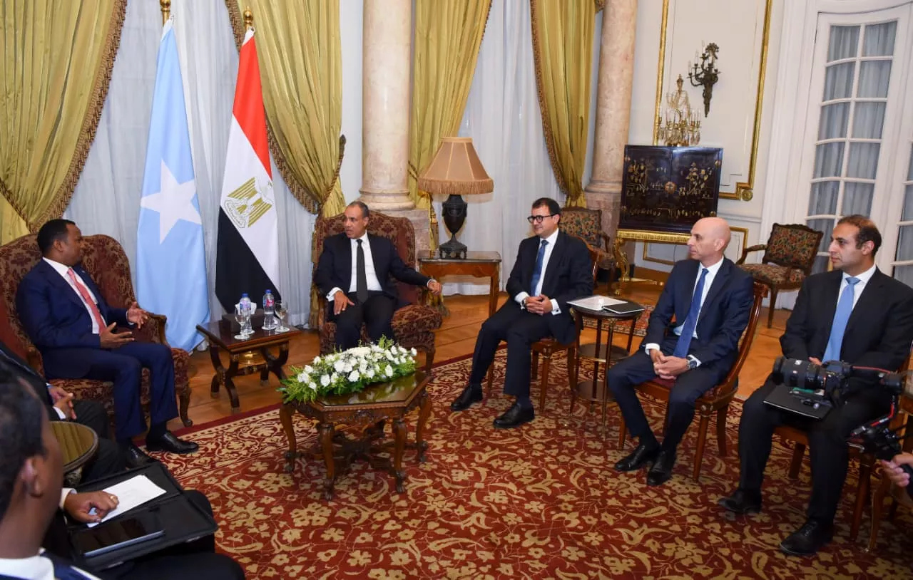 وزير الخارجية ونظيره الصومالي يبحثان سبل تعزيز العلاقات الثنائية