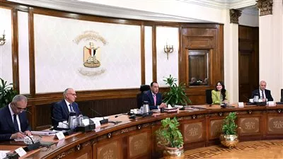 المصدر