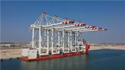 المصدر
