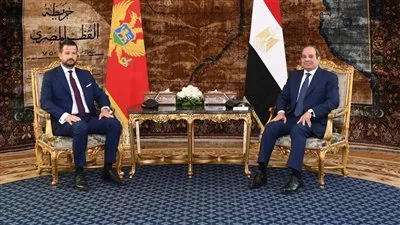 الرئيس السيسي يبحث سبل تعزيز التعاون الاقتصادي والتبادل التجاري مع الجبل الأسود