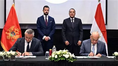 المصدر