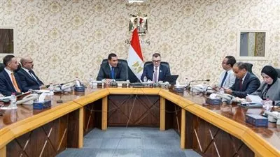 مصر تبحث آليات إطلاق مشروع «اقتصاد الشباب» لدعم ريادة الأعمال