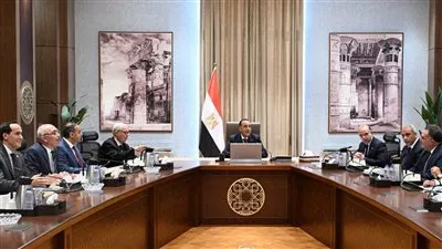 رئيس الوزراء يستعرض جهود تحفيز بيئة الاستثمار بمنطقة شبه جزيرة سيناء 