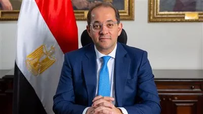 وزير المالية: سداد 70 مليار جنيه للمصدرين خلال 6 سنوات