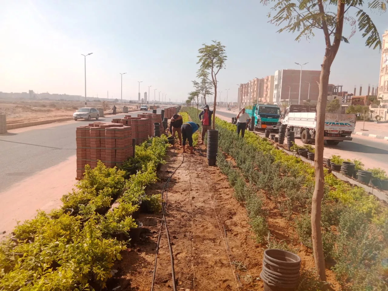 المشروعات التنموية والخدمية بمدينتي العاشر من رمضان وحدائق العاشر من رمضان