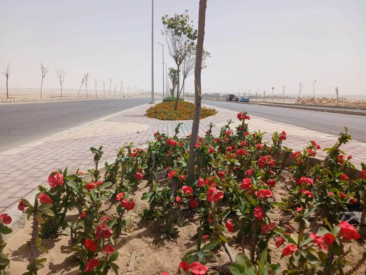 مشروعات مدينة المنيا الجديدة