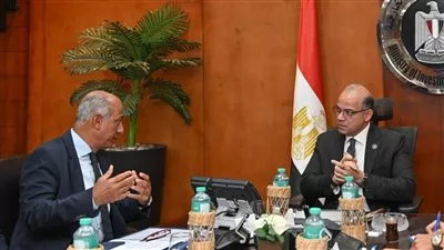 الحكومة تدرس إنشاء صندوق استثماري لتمويل مشروعات التحول الأخضر
