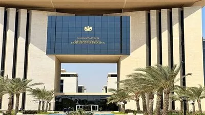 مصر تعرب عن تضامنها مع الجزائر في مواجهة حرائق الغابات