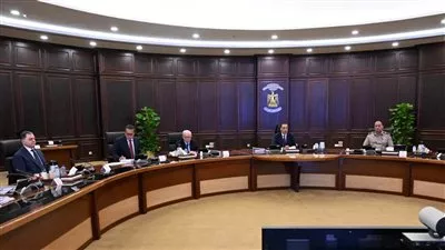 مجلس الوزراء يعتمد 7 طلبات تأسيس لشركات حكومية جديدة