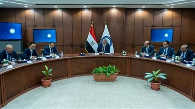 مصر والصين تبحثان تسريع تنفيذ مشروع الصودا آش ومجمع البحر الأحمر للبتروكيماويات