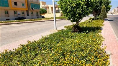 وزيرة «الإسكان» تتابع موقف المشروعات وأعمال التطوير بمدن الصعيد الجديدة