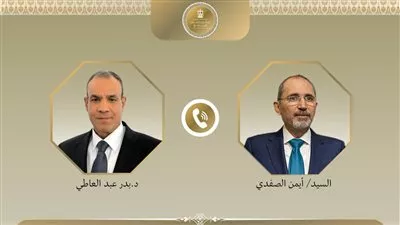 مصر والأردن تبحثان تطورات الأوضاع في الأراضي الفلسطينية وجهود خفض التصعيد الإقليمي