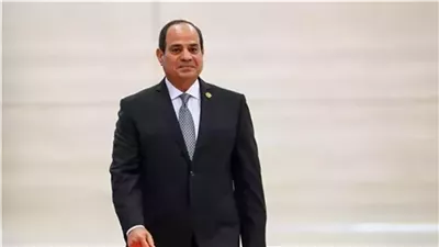 السيسي يوافق على قرض أوروبي بـ3.9 مليار يورو لشبكة القطار الكهربائي السريع