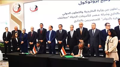 إطلاق وثيقة تأمين «معاشك بكرة بالدولار» للمصريين بالخارج