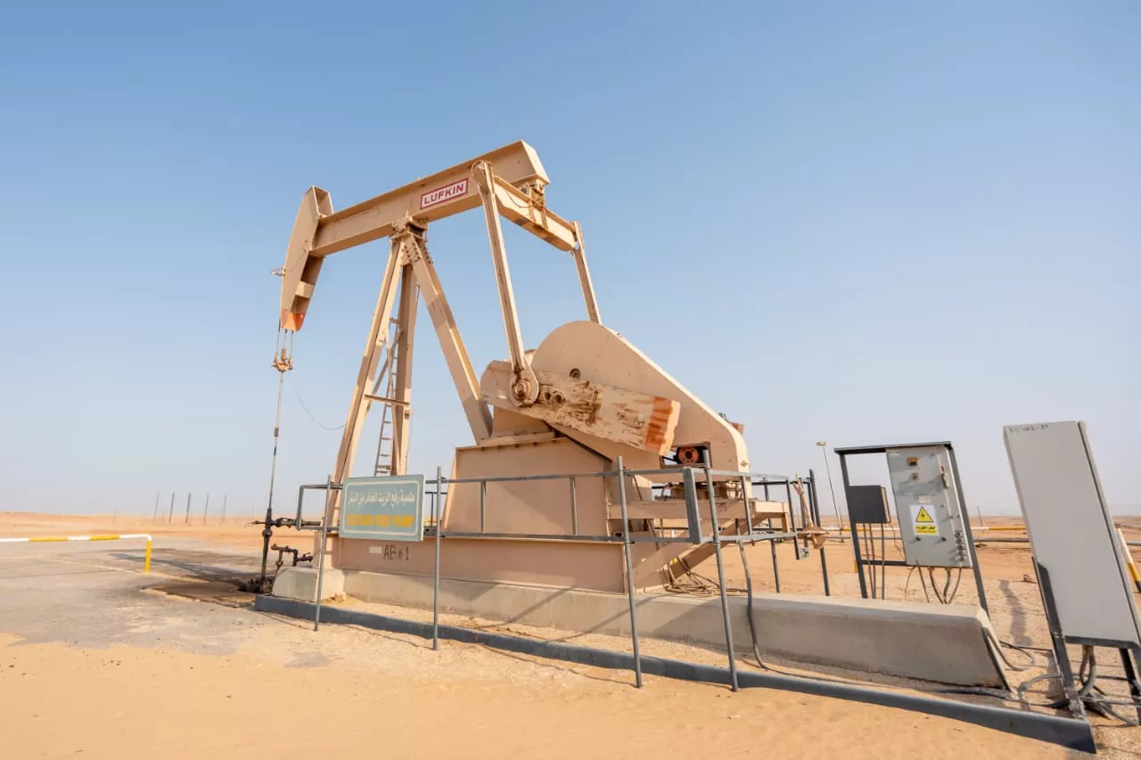 وزير البترول يتفقد استئناف أعمال الحفر بحقل البركة في أسوان