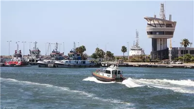 المصدر