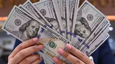 تراجع سعر الدولار مقابل الجنيه في البنوك المصرية
