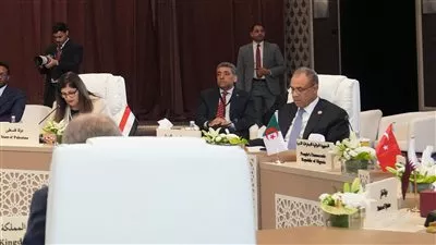 وزير «الخارجية» يؤكد رفض مصر القاطع لتهجير الفلسطينيين