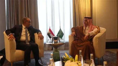 وزير «الخارجية» يبحث مع نظيره السعودي سبل تعزيز التكامل الاقتصادي