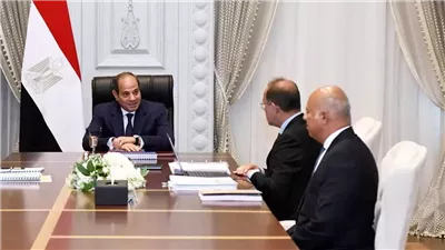 المصدر