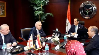 مصر وجورجيا تبحثان سبل تعزيز التبادل التجاري والاستثمارات المشتركة
