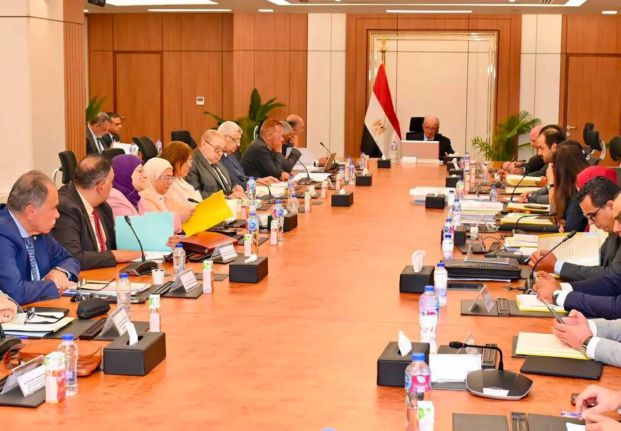 نائب رئيس الوزراء للشؤون الاقتصادية يترأس عمومية القابضة للأدوية