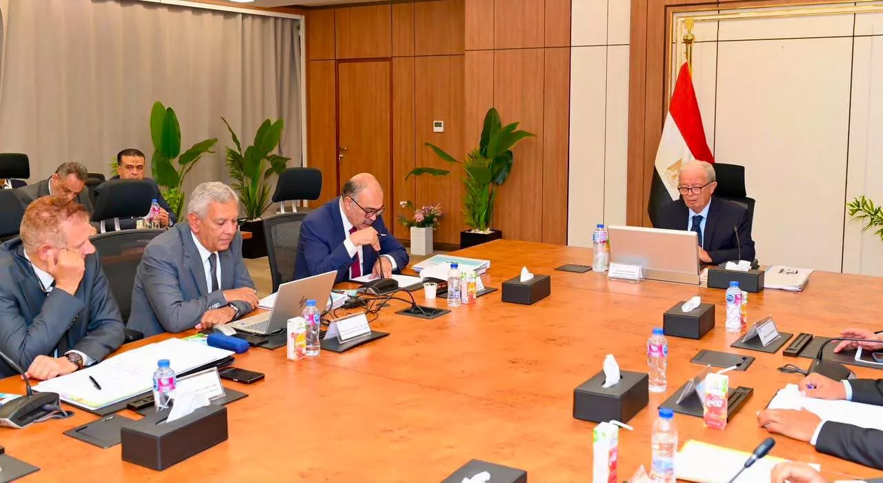 نائب رئيس الوزراء للشؤون الاقتصادية يترأس عمومية القابضة للأدوية