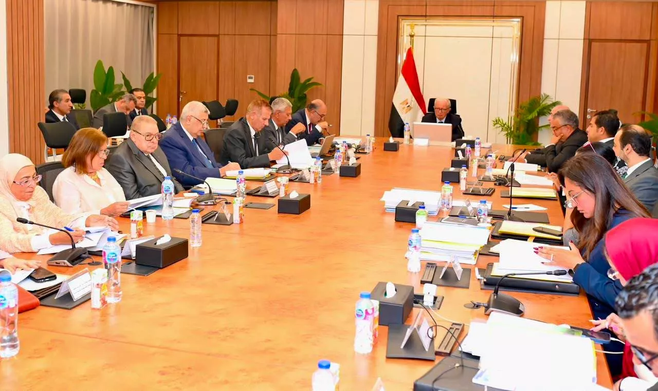 نائب رئيس الوزراء للشؤون الاقتصادية يترأس عمومية القابضة للأدوية