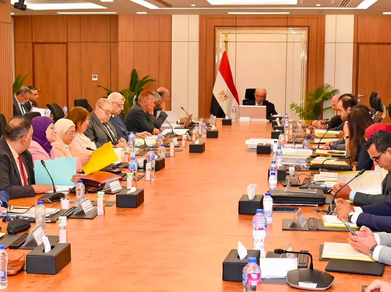 نائب رئيس الوزراء للشؤون الاقتصادية يترأس عمومية القابضة للأدوية
