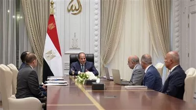 الرئيس السيسي يوجه بتوطين صناعات الرمال السوداء والعناصر الأرضية النادرة