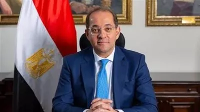 وزير المالية: إصدار 17 دليلًا استرشاديًا مطورًا لدفع مسار التسهيلات الجمركية