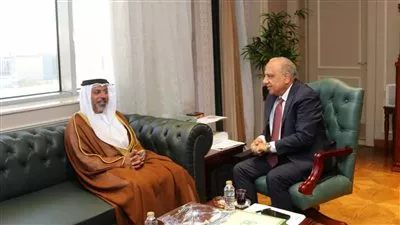 مصر والإمارات تبحثان سبل تعزيز التعاون ودعم الاستثمار بمجالات الكهرباء والطاقة المتجددة