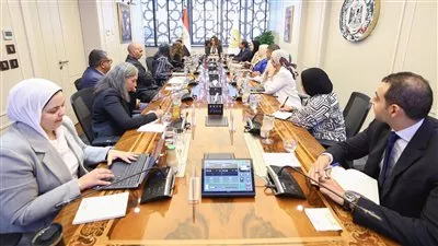 «البيئة» تبحث مع «UNDP» آليات إنشاء الصندوق المصري لحماية الشعاب المرجانية
