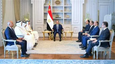 الرئيس السيسي يبحث زيادة الاستثمارات القطرية في مصر بمختلف المجالات
